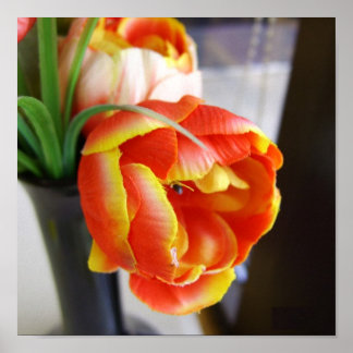 Tulipe de soie - Impression