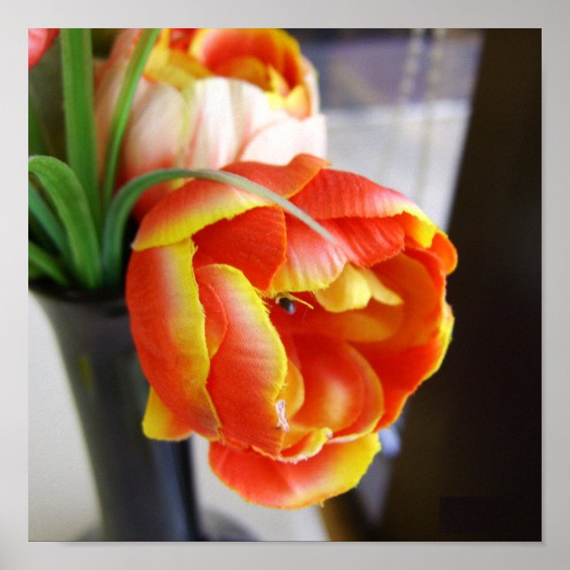 Tulipe de soie - Impression (Devant)