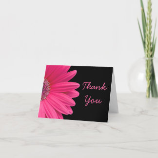 Tulipe Gerbera (Gerber) Rose Chaud Merci
