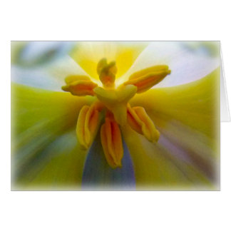 Tulipe jaune