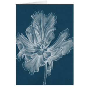 Tulipe monochrome II