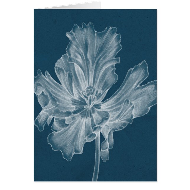 Tulipe monochrome II (Devant)