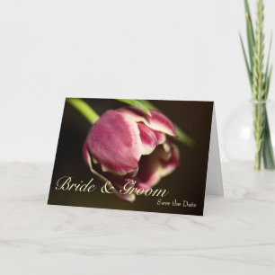 Tulipe pourpre ・ Enregistrer la carte de date