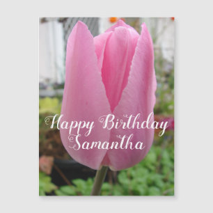 Tulipe rose Fleur Florale Tulipes d'anniversaire M