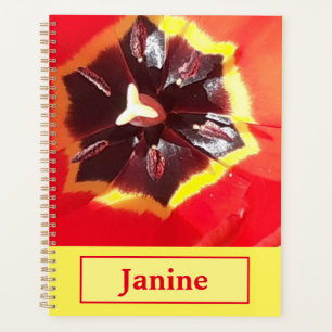 Tulipe rouge écarlate