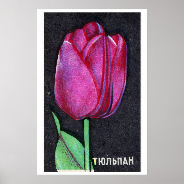 Tulipe Violette - Impression Boîte d'Allumettes -  (Devant)