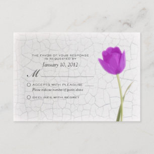 Tulipe violette sur peinture de crémaillère RSVP p