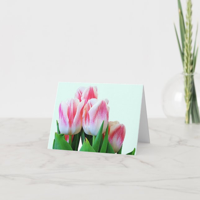 Tulipes (Devant)