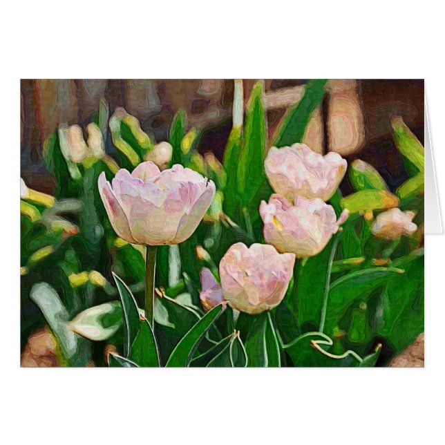 Tulipes à menthe poivrée (Impasto) (Devant horizontal)
