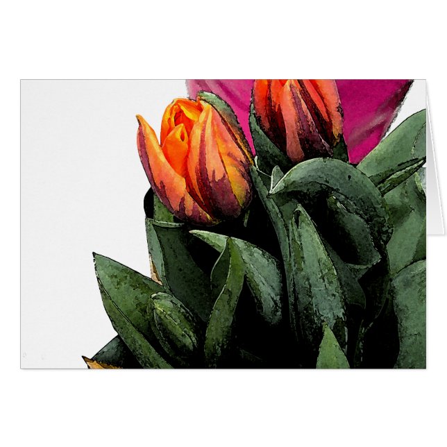 Tulipes à nouveau (Devant horizontal)