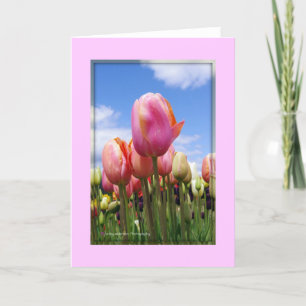 Tulipes Au Soleil - Carte Vierge