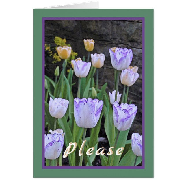 Tulipes/Bien Se Porter Bientôt/De Nous Tous (Devant)