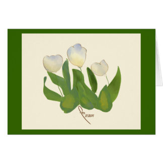 tulipes blanches