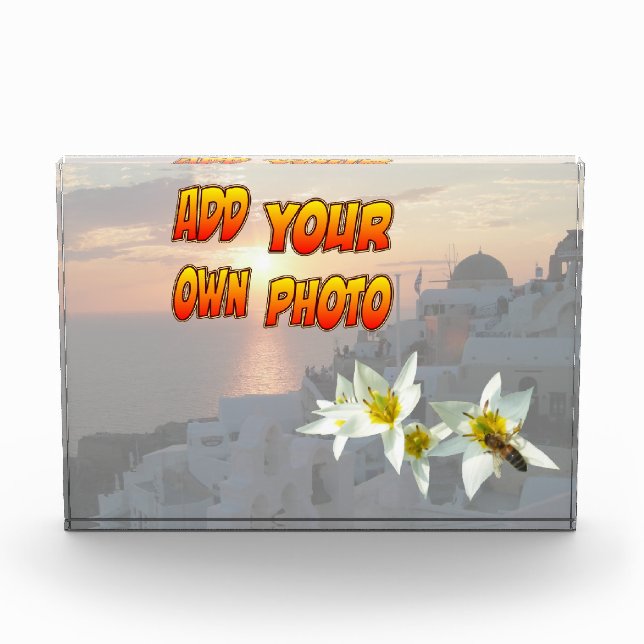 Tulipes blanches avec bloc photo (Devant)