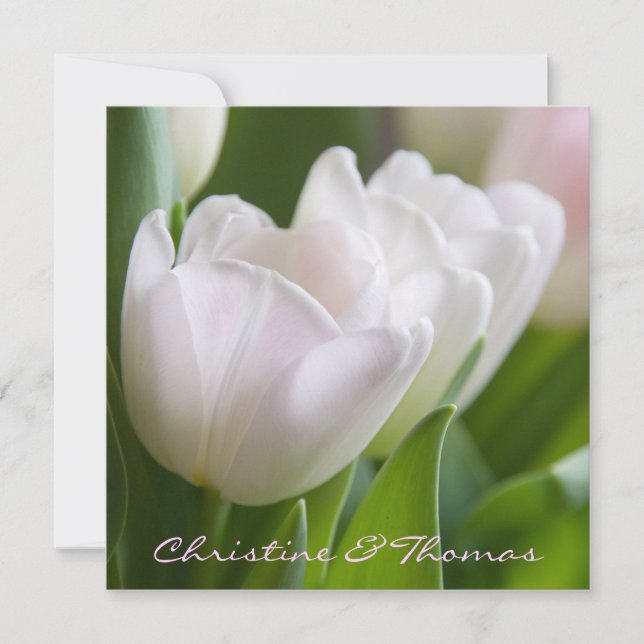 Tulipes blanches ・ Carte postale de Save the Date (Devant)