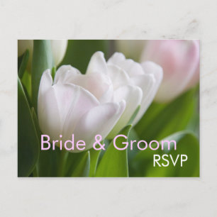 Tulipes blanches ・ Carte postale RSVP