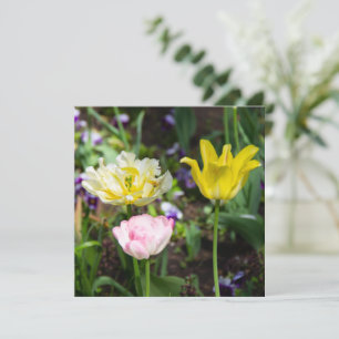 Tulipes blanches, roses et jaunes dans le jardin
