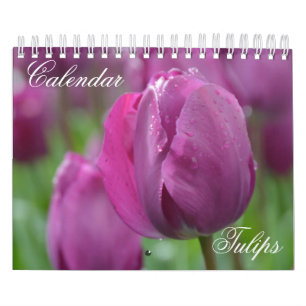 Tulipes Calendrier