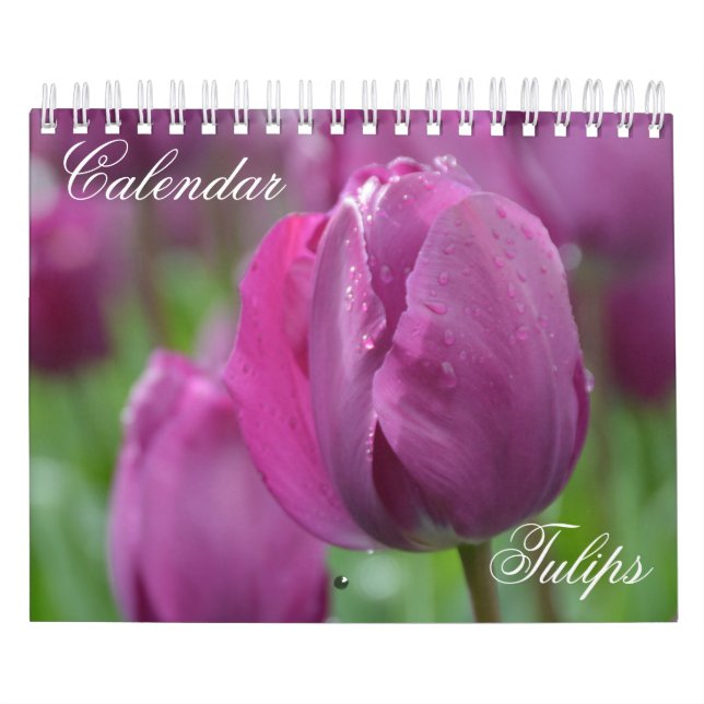 Tulipes Calendrier (Protection)