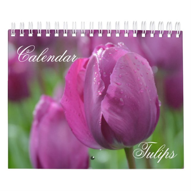 Tulipes Calendrier (Protection)