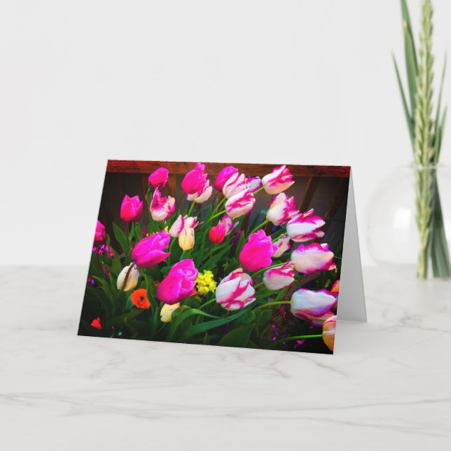 Tulipes Christmas Dream et Affaire #1 Carte (Devant)