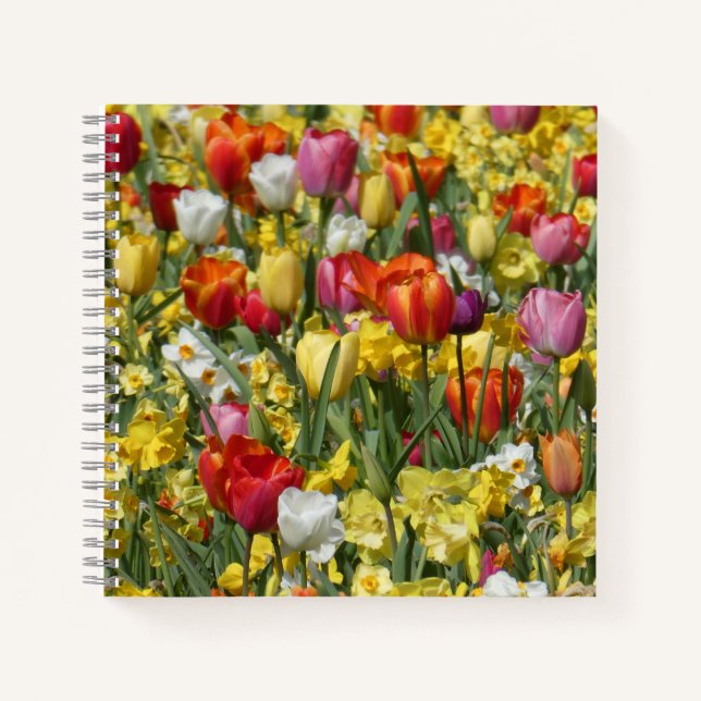 Tulipes colorées et jonquilles Carnet de fleurs (Devant)