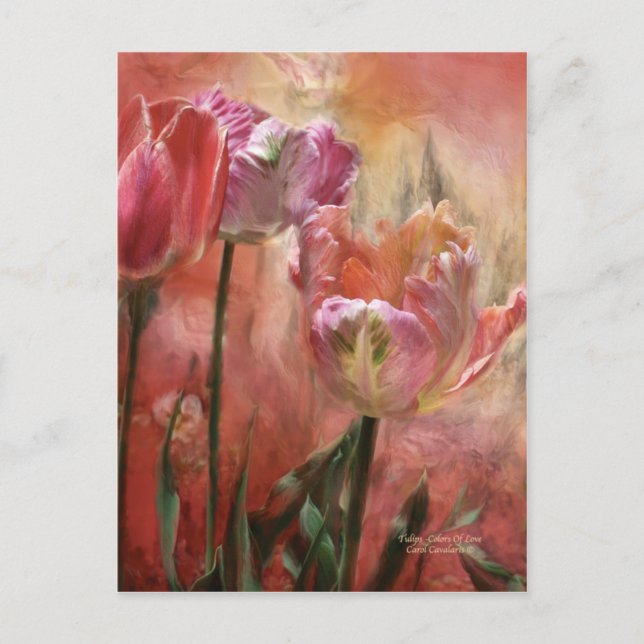 Tulipes Couleurs De L'Amour Art Carte Postale (Devant)