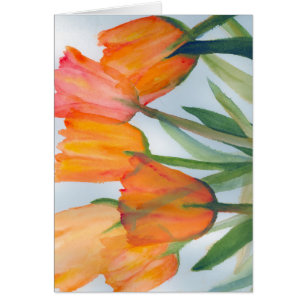 Tulipes d'agrumes orange
