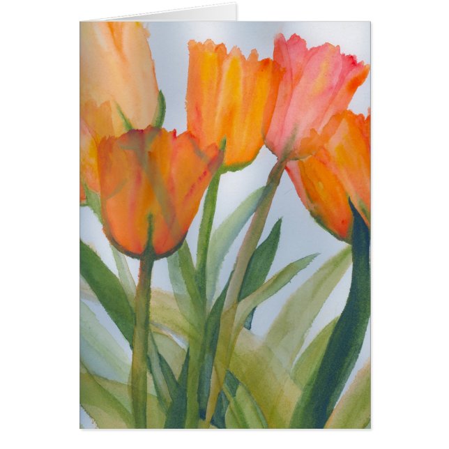 Tulipes d'agrumes orange (Devant)