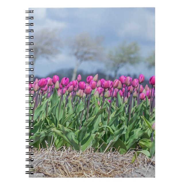 Tulipes dans le carnet de vent (Devant)