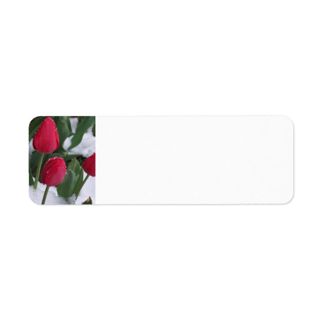 Tulipes dans les étiquettes de adresse de neige (Devant)