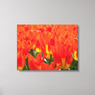 Tulipes D'Art En Toile