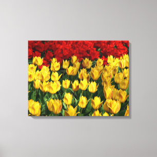 Tulipes D'Art En Toile