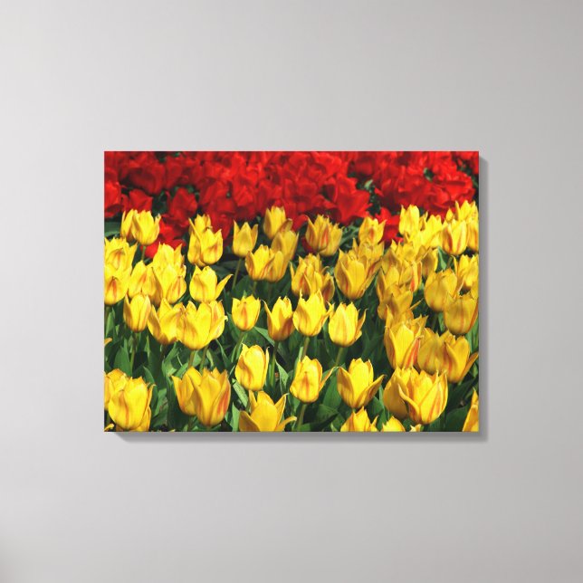 Tulipes D'Art En Toile (Recto)