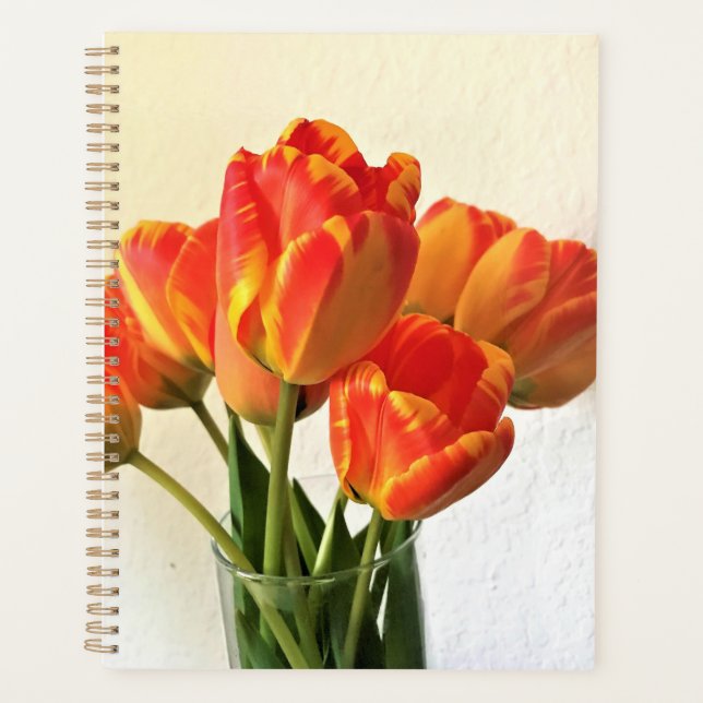 Tulipes de Banja Luka (Devant)