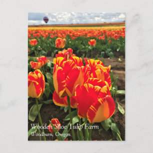 Tulipes de Banja Luka avec carte postale de montgo