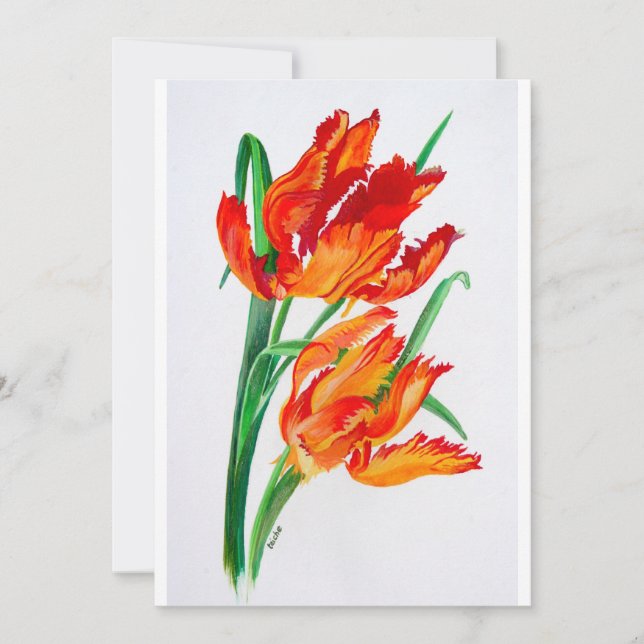 Tulipes de perroquet rouge vif (Devant)