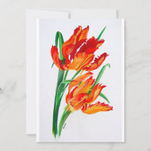 Tulipes de perroquet rouge vif