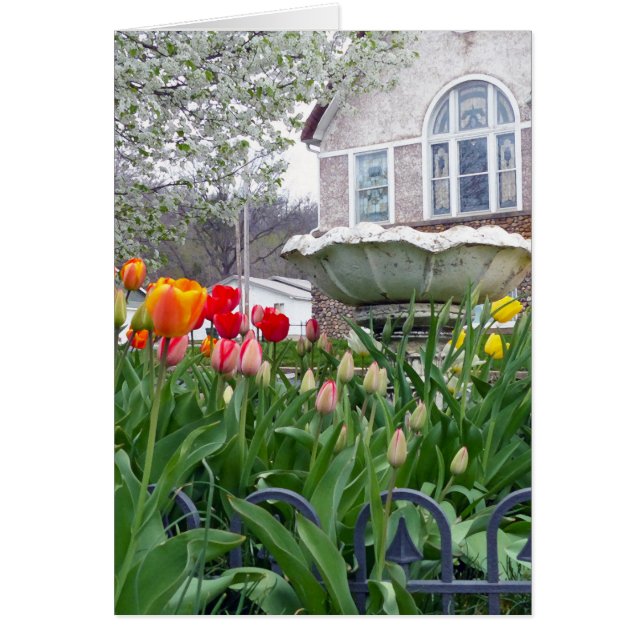 Tulipes de printemps (Devant)