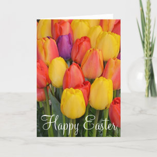 Tulipes de printemps Carte de voeux de Pâques
