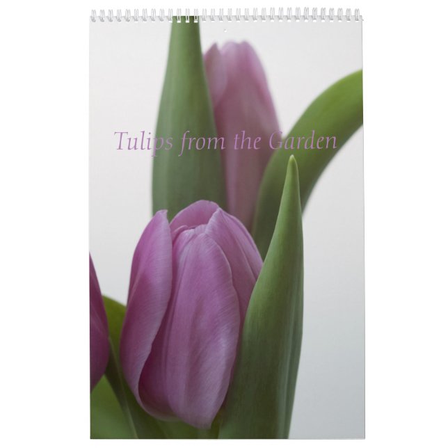 Tulipes du Calendrier des Jardins (Protection)