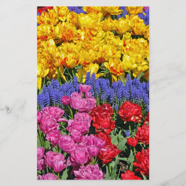 Tulipes et fleurs de muscari (Devant)