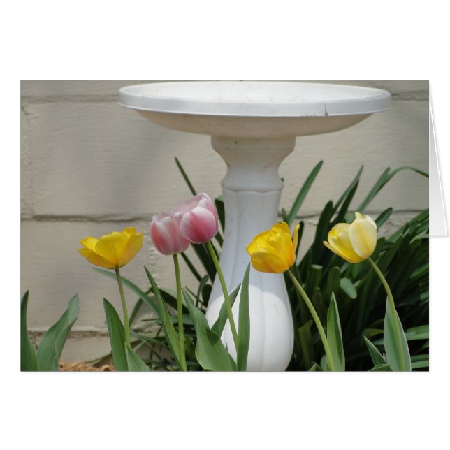 Tulipes et vasque, pensant à "VOUS " (Devant horizontal)