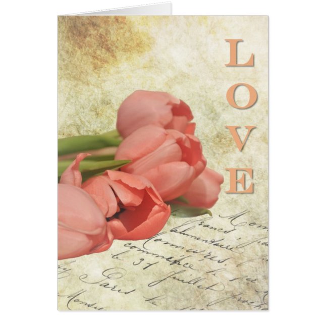 Tulipes et Vieille Lettre (Devant)