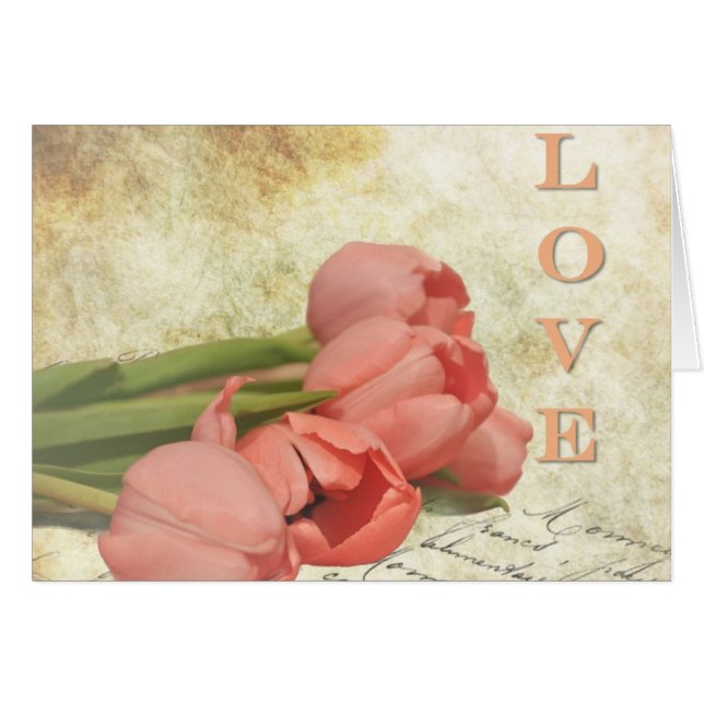 Tulipes et vieilles lettres (Devant horizontal)