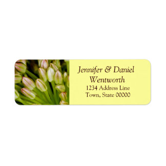 Tulipes Étiquettes de adresse de fleurs