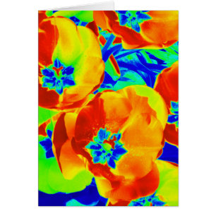 tulipes fluorescentes