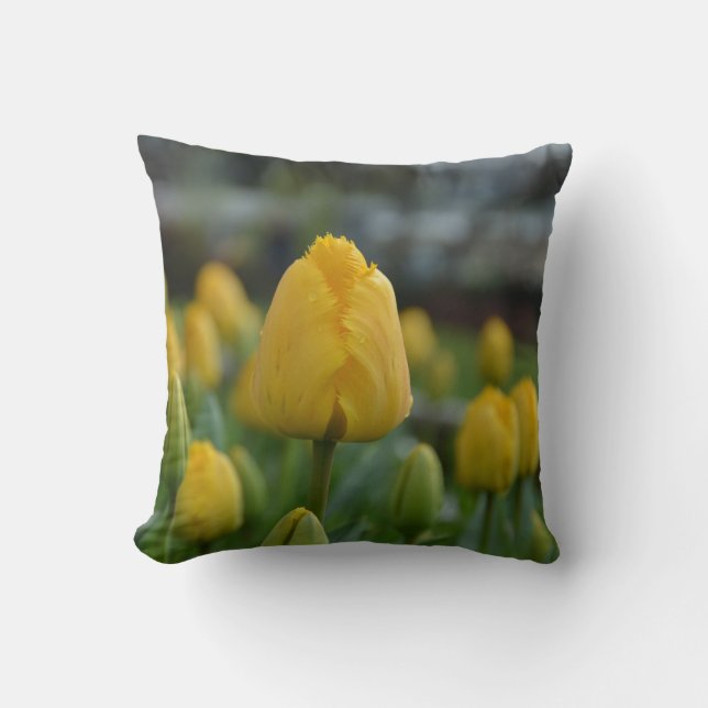 Tulipes jaunes dans le champ Jeter Oreiller (Recto)