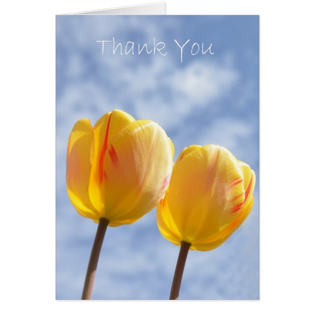 Tulipes jaunes dans le ciel (Devant)