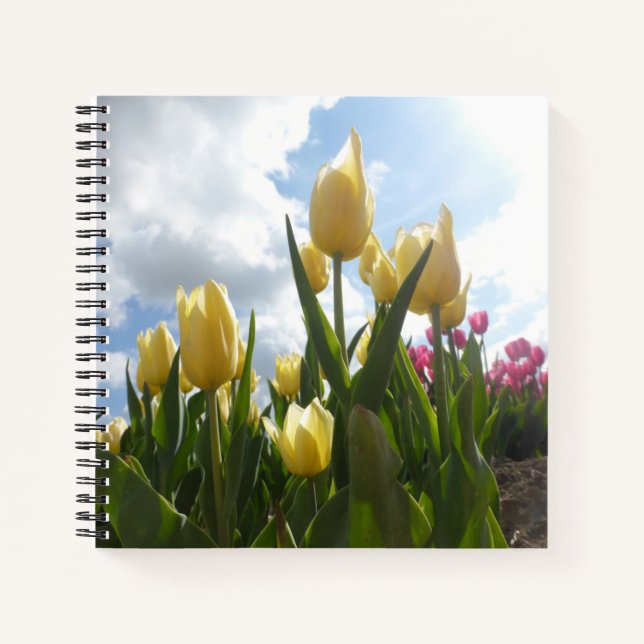 Tulipes jaunes et roses ensoleillées avec Carnet S (Devant)